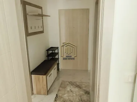 Rent, one bedroom apartment, 40m², Zabjelo, Podgorica - image 12