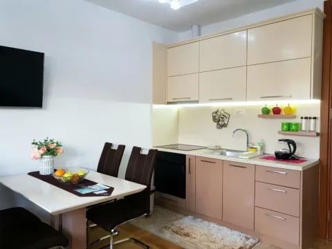 Izdavanje, jednosoban stan, 36m², Centar, Cetinje - image 3