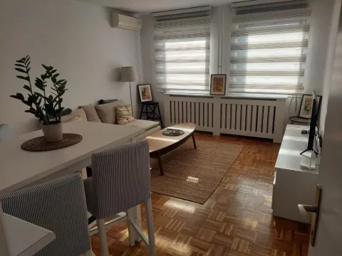 Izdavanje, jednosoban stan, 45m², Savski Venac, Beograd - image 11