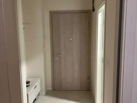 Izdavanje, jednosoban stan, 49m², Central Point, Podgorica - image 10