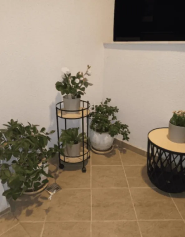 Rent, apartment, 50m², Budva, Crna Gora