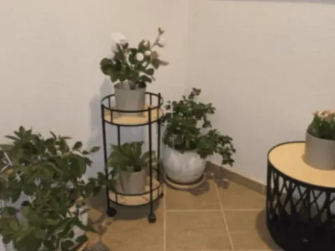 Rent, apartment, 50m², Budva, Crna Gora - image 3