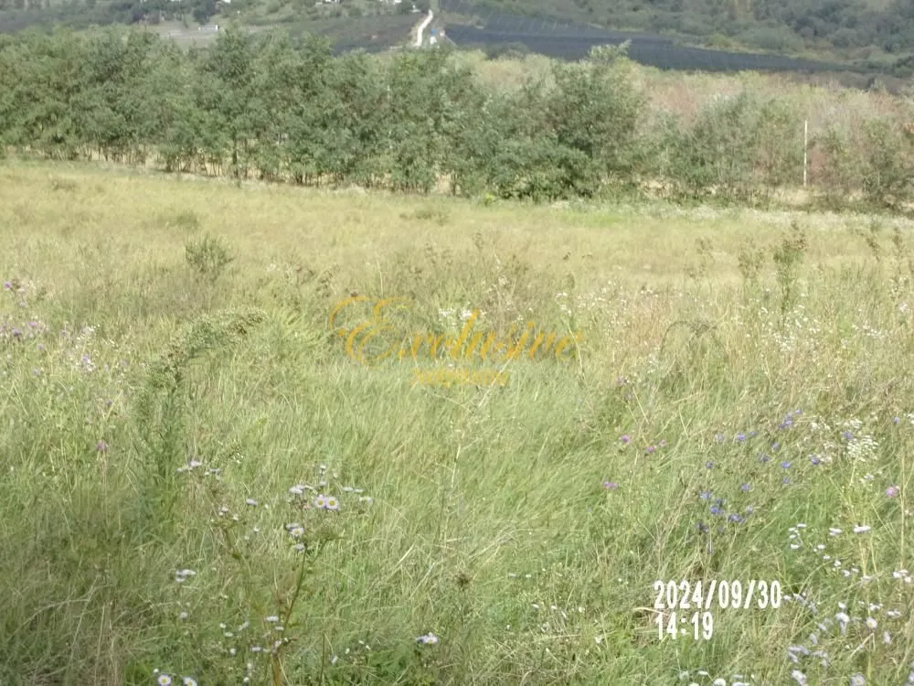 Prodaja, plac, 6300m², Mala Ivanča, Sopot