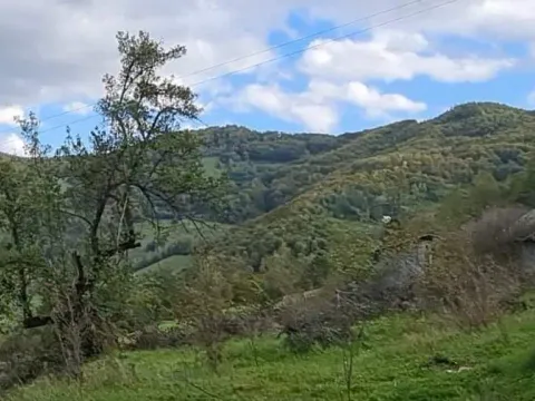 Sale, land lot, 64450m², Bijelo Polje, Crna Gora - image 5