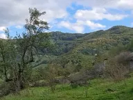 Sale, land lot, 64450m², Bijelo Polje, Crna Gora - image 5