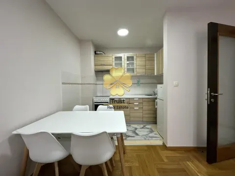 Izdavanje, jednosoban stan, 45m², Stari Aerodrom, Podgorica - image 4