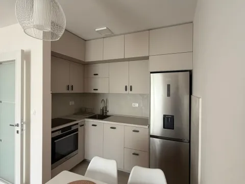 Rent, one bedroom apartment, 39m², Zabjelo, Podgorica - image 5