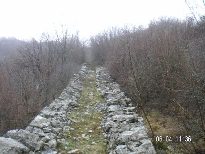 Prodaja, plac, 40000m², Cetinje, Crna Gora
