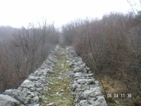 Prodaja, plac, 40000m², Cetinje, Crna Gora - image 3