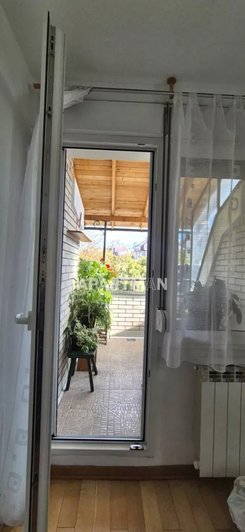 View through the open door onto a covered terrace with flowers and greenery.