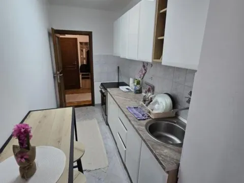 Izdavanje, dvosoban stan, 50m², Detelinara, Novi Sad Sve Podlokacije - image 8