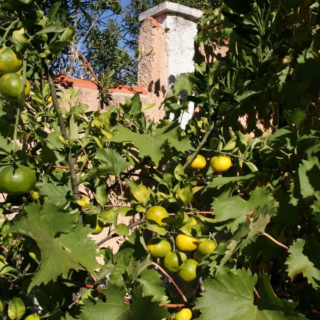 Sale, house, 450m², Kotor, Crna Gora