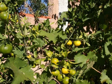 Sale, house, 450m², Kotor, Crna Gora - image 5