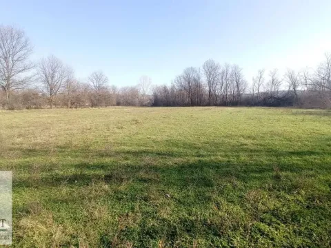 Sale, land lot, 4600m², Draževac, Obrenovac - image 3