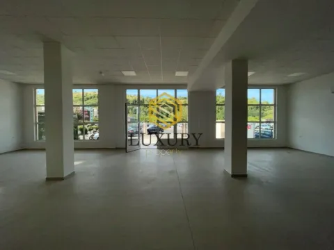 Izdavanje, poslovni prostor, 370m², Zabjelo, Podgorica - image 6