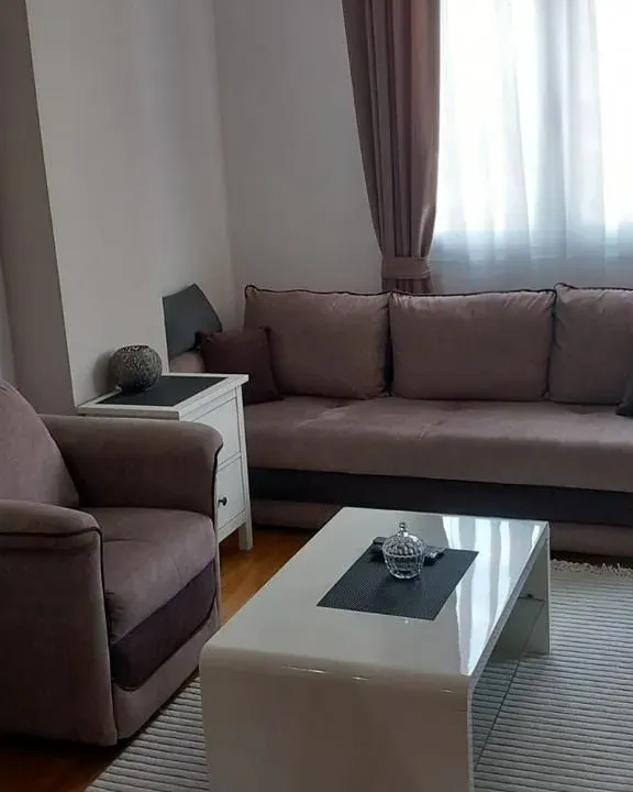 Rent, one bedroom apartment, 42m², Vezirov Most, Podgorica