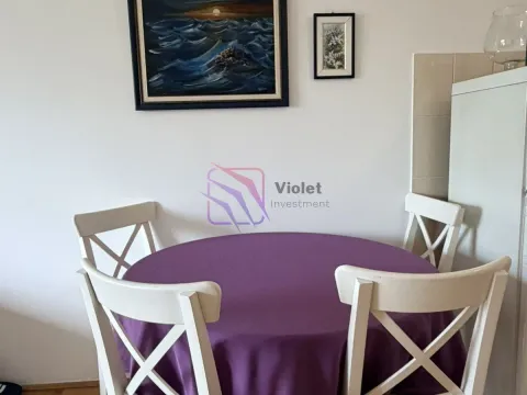 Izdavanje, jednosoban stan, 45m², Preko Morače, Podgorica - image 10