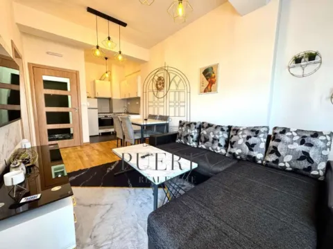 Izdavanje, jednosoban stan, 38m², Ljubović, Podgorica - image 4