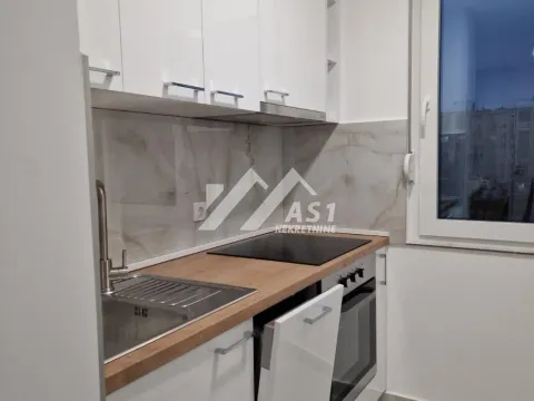 Izdavanje, dvosoban stan, 58m², Liman 3, Novi Sad Sve Podlokacije - image 4