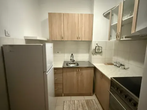 Rent, one bedroom apartment, 45m², Tuški Put, Podgorica - image 5