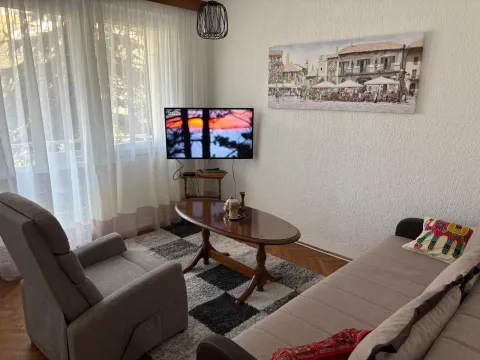 Bright living room with comfortable furniture, a coffee table, and a TV. - image 2