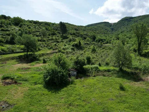 Prodaja, plac, 83000m², Radanovići, Kotor - image 23