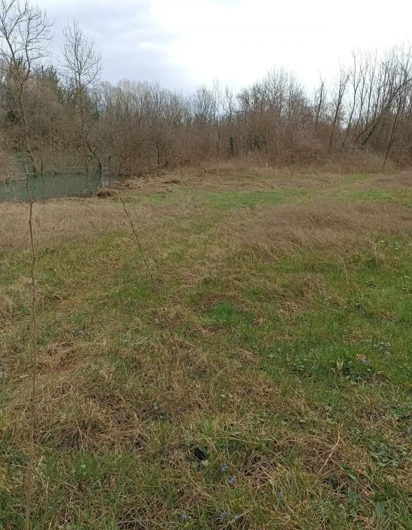 Prodaja, plac, 4500m², Danilovgrad, Crna Gora