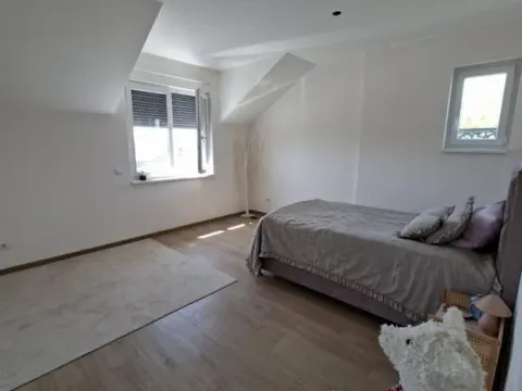 Sale, house, 333m², Misa, Pančevo - image 10