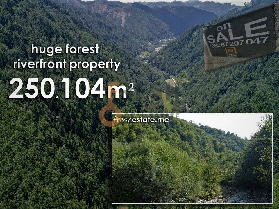 Prodaja, plac, 250104m², Ostalo, Podgorica