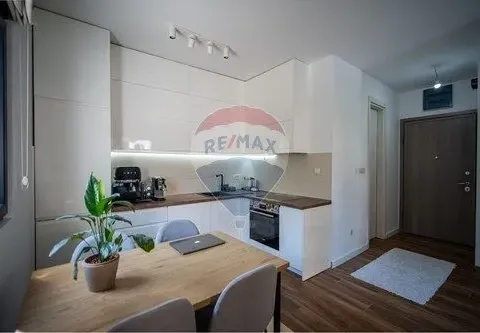 Rent, one bedroom apartment, 43m², Gornja Lastva, Tivat - image 7