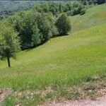 Prodaja, plac, 3000m², Kolašin, Crna Gora - image 8