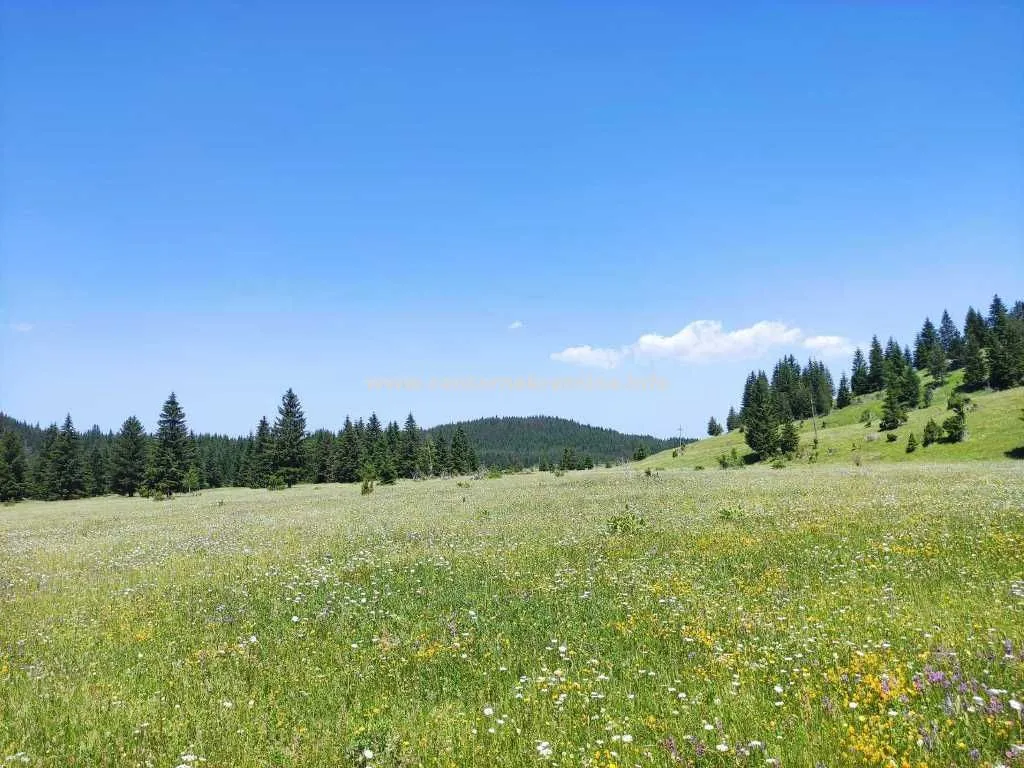 Prodaja, plac, 18883m², Žabljak, Crna Gora