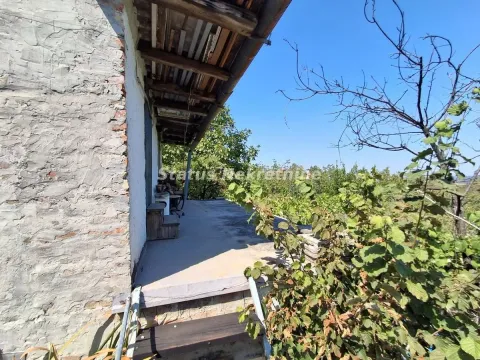 Prodaja, kuća, 30m², Ledinci, Petrovaradin - image 13