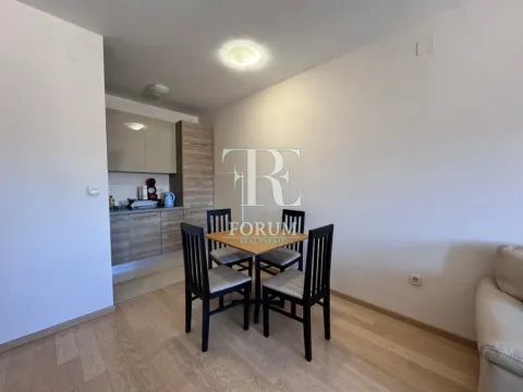 Izdavanje, jednosoban stan, 45m², City Kvart, Podgorica - image 3