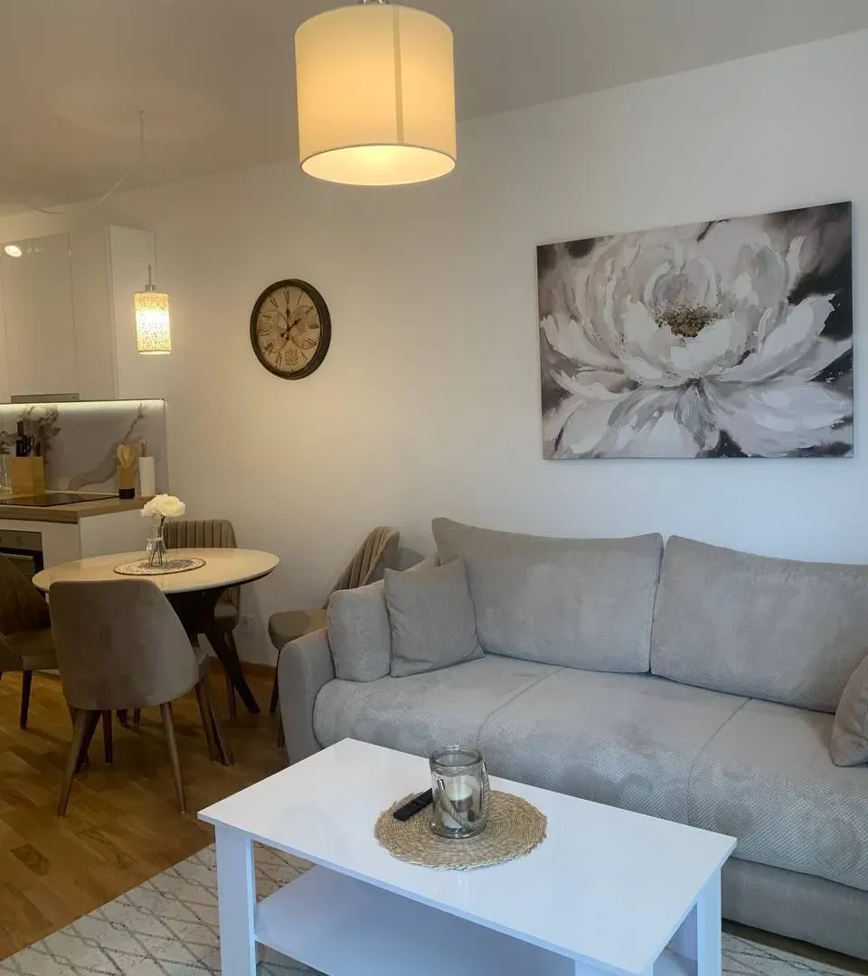 Izdavanje, jednosoban stan, 45m², Bečići, Budva