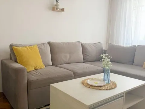 Rent, one bedroom apartment, 35m², Adamovićevo Naselje, Novi Sad Sve Podlokacije - image 2