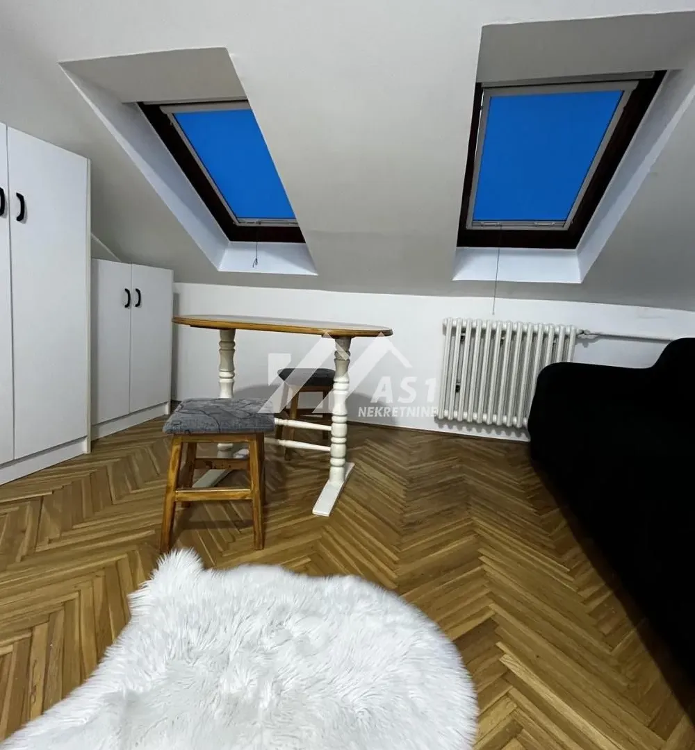 Izdavanje, stan, 24m², Bulevar Oslobodjenja, Novi Sad Sve Podlokacije