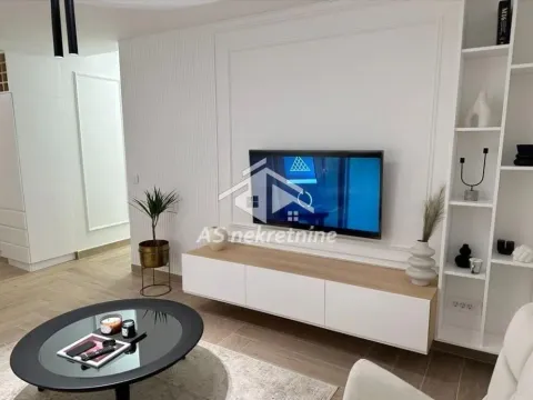 Izdavanje, dvosoban stan, 55m², Stari Grad, Beograd - image 5