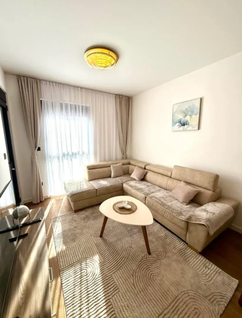 Izdavanje, jednosoban stan, 45m², Centar, Podgorica