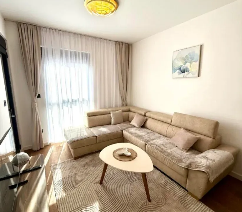 Izdavanje, jednosoban stan, 45m², Centar, Podgorica