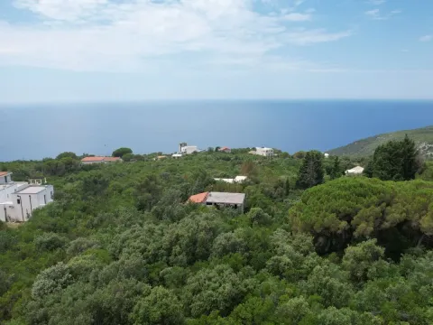 Prodaja, plac, 600m², Zagora, Kotor - image 3