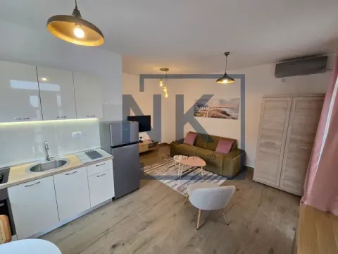 Rent, studio apartment, 25m², Momišići, Podgorica - image 7
