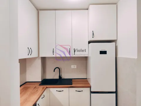 Izdavanje, jednosoban stan, 40m², Central Point, Podgorica - image 2