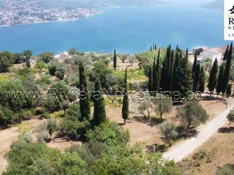 Prodaja, plac, 2391m², Žvinje, Herceg Novi - image 10