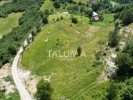Sale, land lot, 11000m², Drijenak, Kolašin - image 1