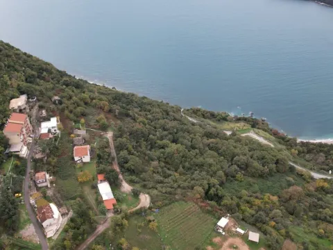 Prodaja, plac, 5100m², Prijevor, Budva - image 10