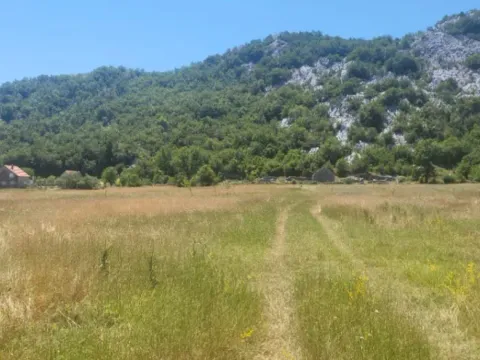 Prodaja, plac, 4249m², Grahovo, Nikšić - image 3
