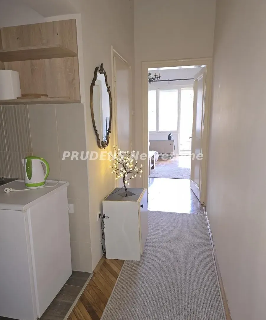 Izdavanje, jednosoban stan, 25m², Cvetni Trg, Vračar Sve Podlokacije