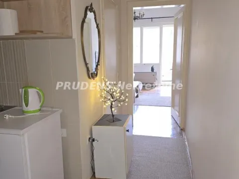 Izdavanje, jednosoban stan, 25m², Cvetni Trg, Vračar Sve Podlokacije - image 10