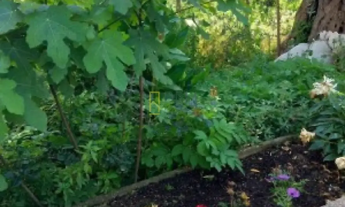 Sale, house, 120m², Kunje, Bar